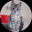 みっちーのプロフィール画像