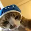 ウニコムのプロフィール画像