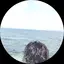だいのプロフィール画像