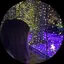 JURIのプロフィール画像