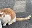 べのプロフィール画像