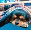 mo_tanのプロフィール画像
