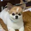 高貴知裕のプロフィール画像