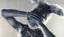 せりなのプロフィール画像