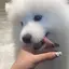 ちゃちゃのプロフィール画像