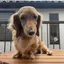 まこのプロフィール画像