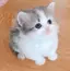 めぐみのプロフィール画像