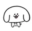 Cのプロフィール画像