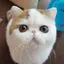 ゆうのプロフィール画像