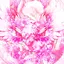 3133のプロフィール画像