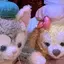 makiのプロフィール画像