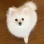 むらさきのプロフィール画像