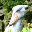 Ｔａｉｋｉのプロフィール画像