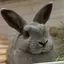 ぬのプロフィール画像
