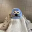 あやめのプロフィール画像