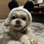 由紀のプロフィール画像