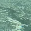 sのプロフィール画像