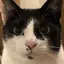 ほんまのプロフィール画像