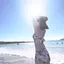 akariのプロフィール画像