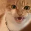 まりんのプロフィール画像