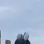 スミレのプロフィール画像