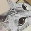 かなのプロフィール画像