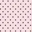 のんのプロフィール画像