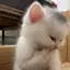 babybooのプロフィール画像