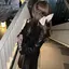 ちぃのプロフィール画像