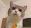 書寧のプロフィール画像