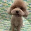 みのりのプロフィール画像