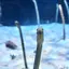 haraのプロフィール画像