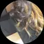 ゆきのプロフィール画像