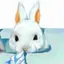 さーのプロフィール画像