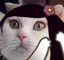 まぼろしー!のプロフィール画像