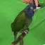 まこちゃんのプロフィール画像