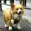 ともかのプロフィール画像