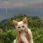 ゆまのプロフィール画像
