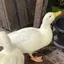 みじのプロフィール画像