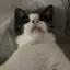 nachanのプロフィール画像