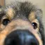 ふうのプロフィール画像
