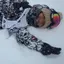 甲斐大貴のプロフィール画像