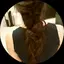 めりもりのプロフィール画像