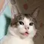 千里眼冷やし中華好きのプロフィール画像