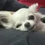かなたのプロフィール画像