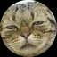 HALのプロフィール画像