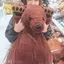シオリのプロフィール画像