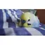 りーのプロフィール画像