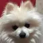 C3.19のプロフィール画像