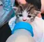 さくらのプロフィール画像